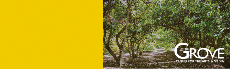 The Grove Center for the Arts  cover
