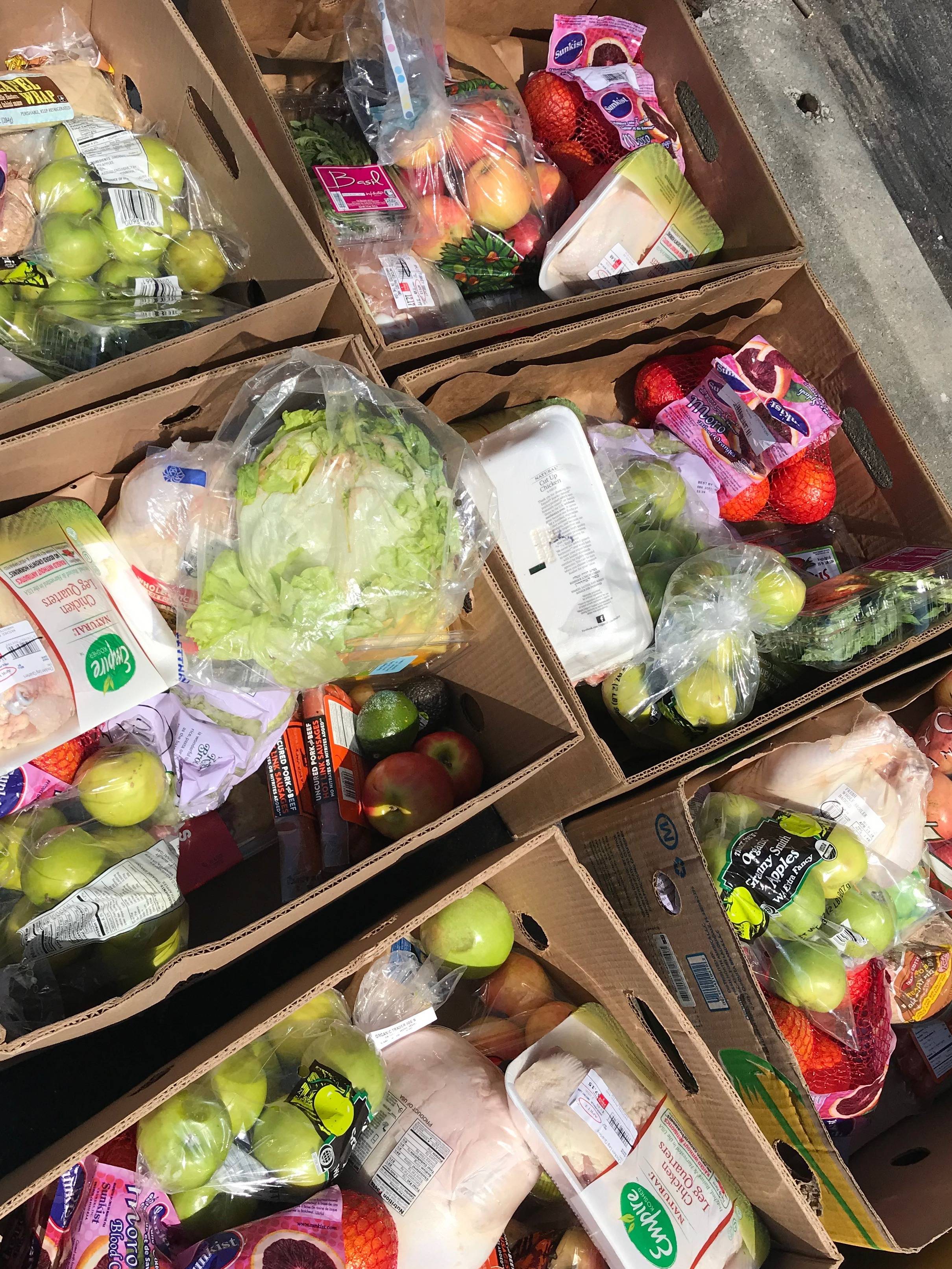 Photo 3 from Tikkun Olam Global