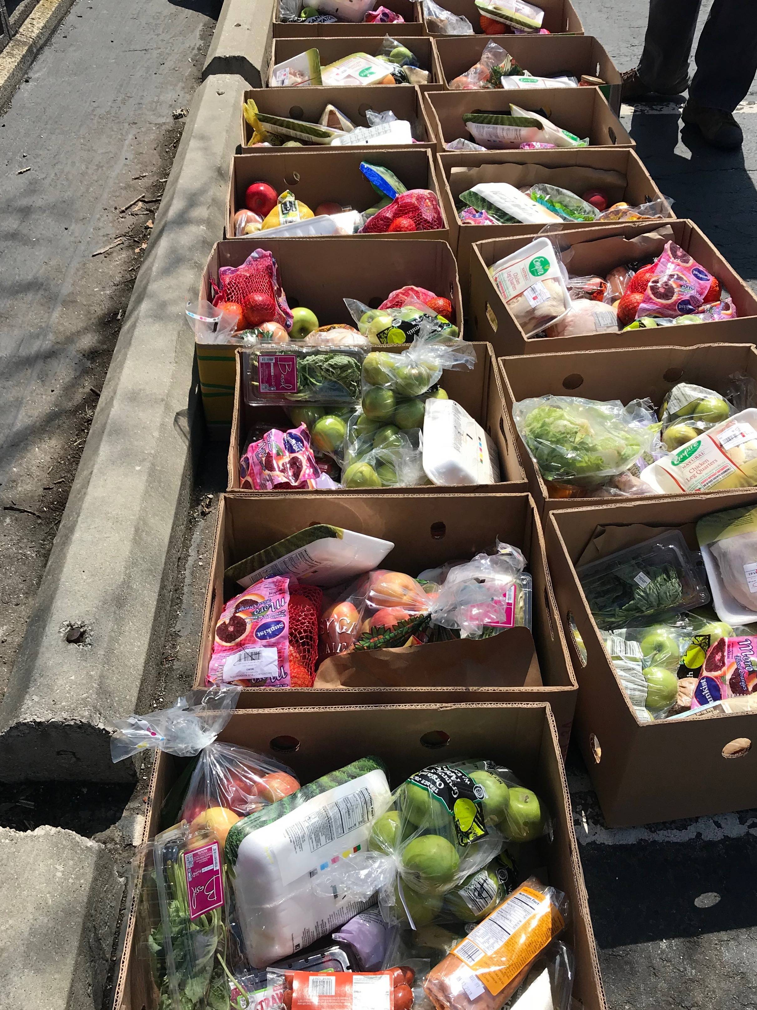 Photo 4 from Tikkun Olam Global