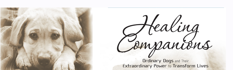 Healing Companions, Inc.