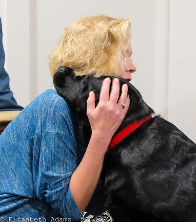 Photo 1 from Healing Companions, Inc.