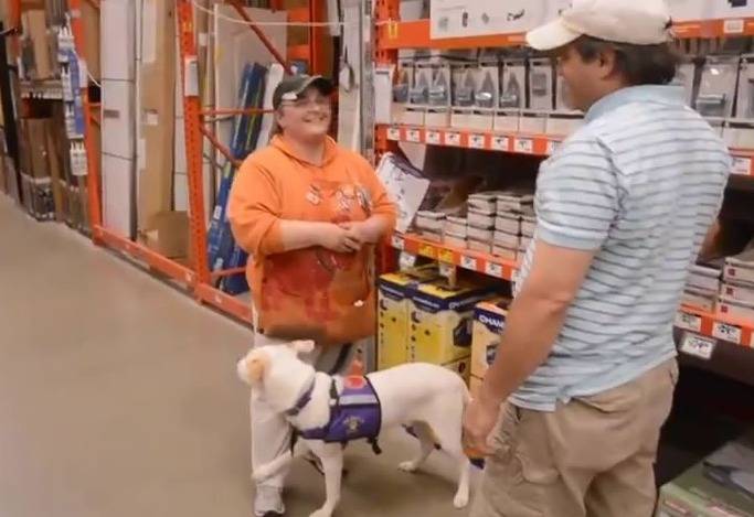 Photo 2 from Healing Companions, Inc.