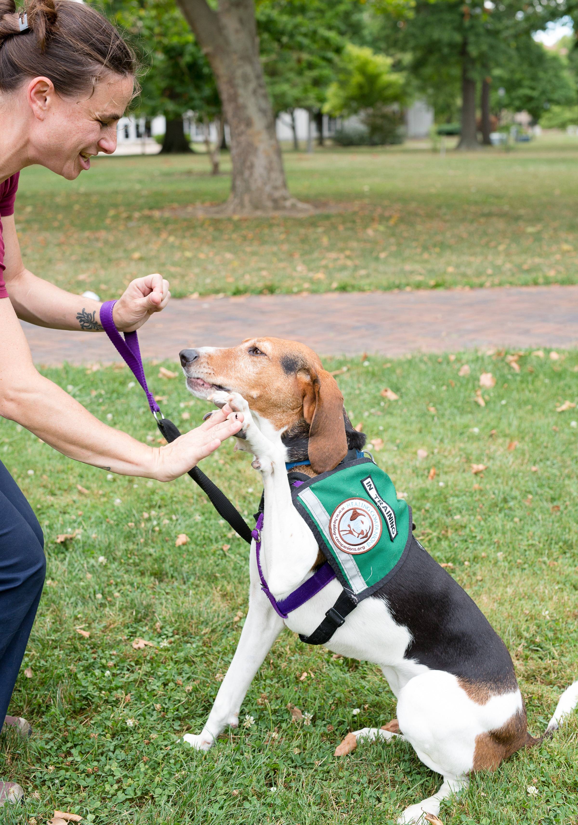 Photo 7 from Healing Companions, Inc.