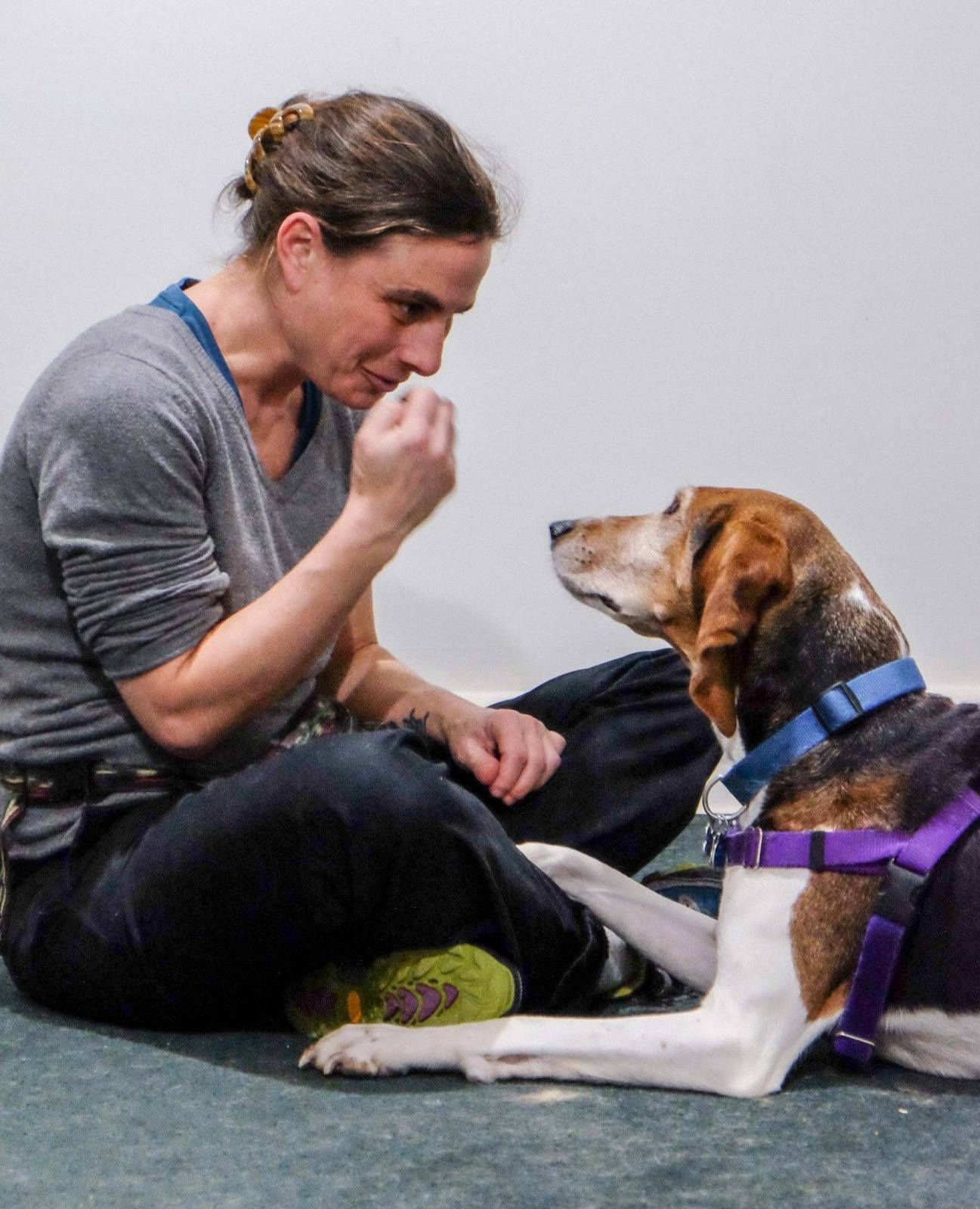 Photo 10 from Healing Companions, Inc.