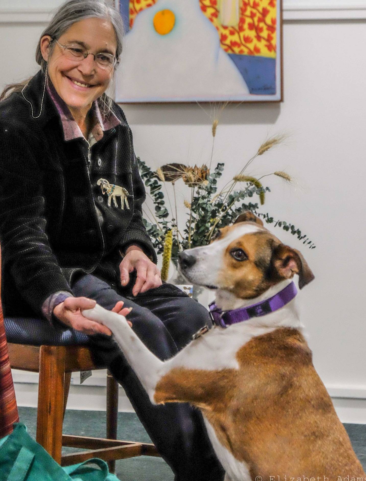 Photo 12 from Healing Companions, Inc.