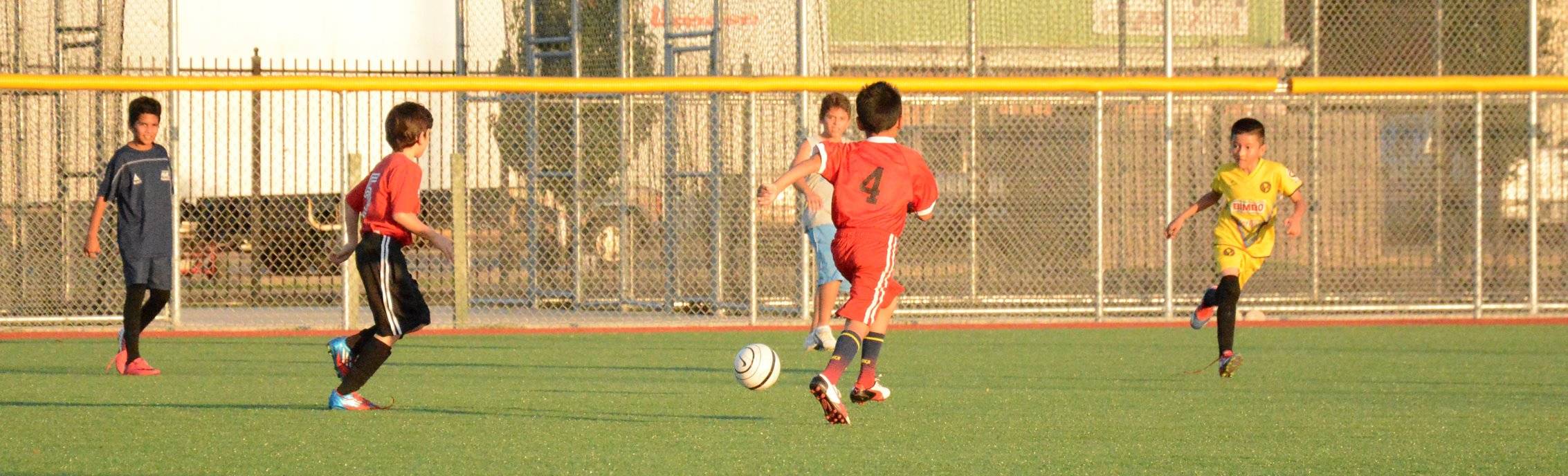 ALL NATIONS SPORTS ACADEMY