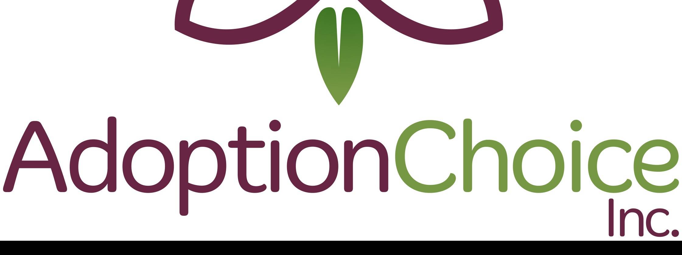 ADOPTION CHOICE INC