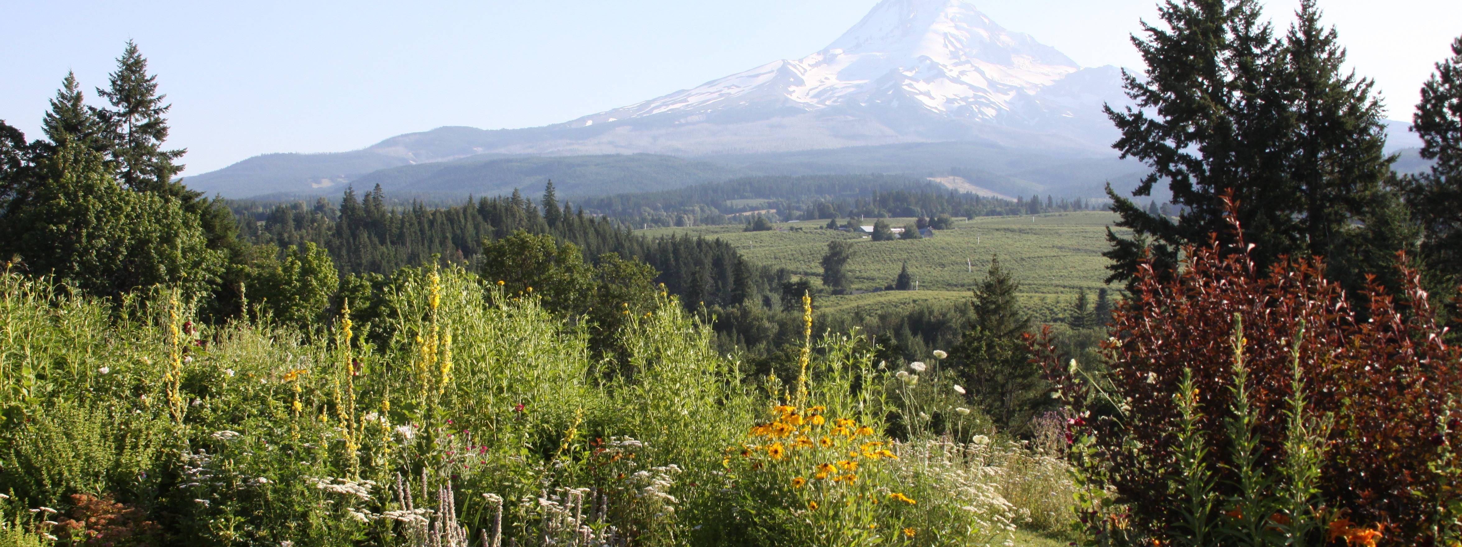 Biodynamic Association