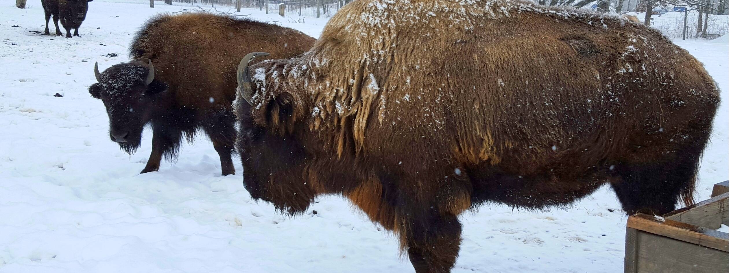 Photo 2 from GOLDEN HILLS RESOURCE CONSERVATION AND DEVELOPMENT AREA