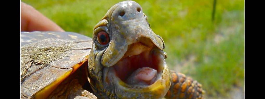 Photo 3 from WisCorps