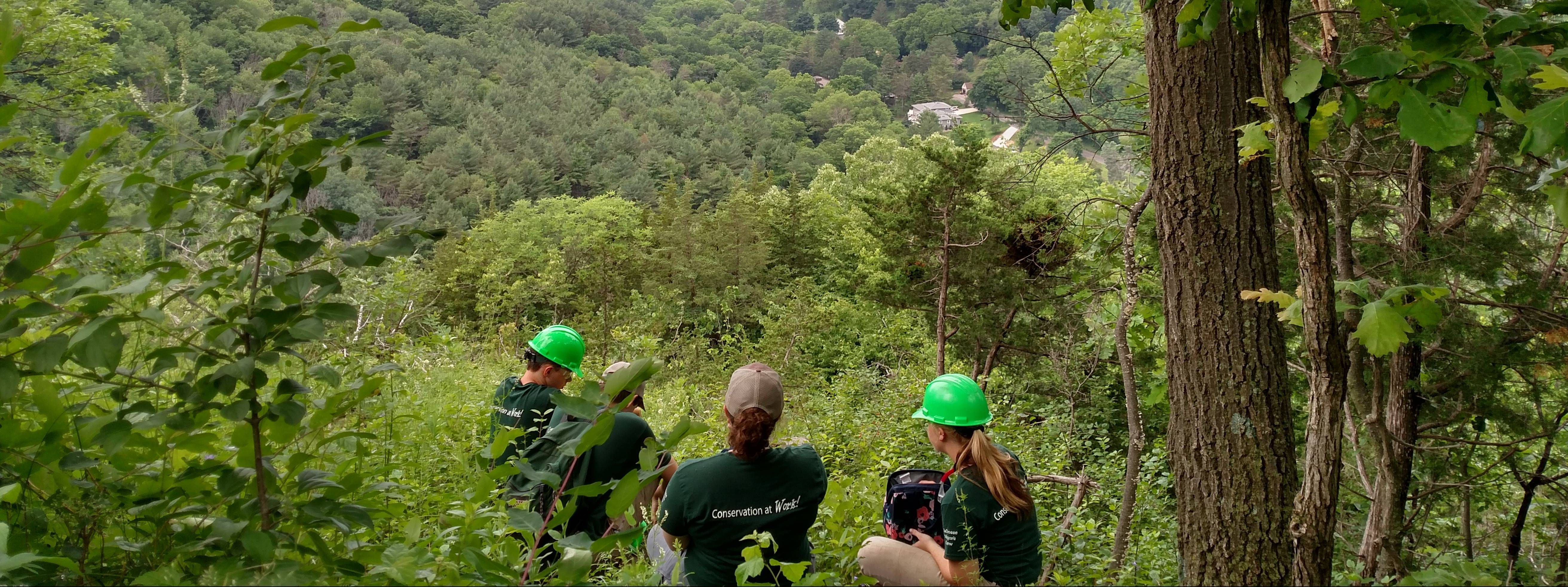 Photo 12 from WisCorps