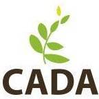 COMMITTEE AGAINST DOMESTIC ABUSE INC