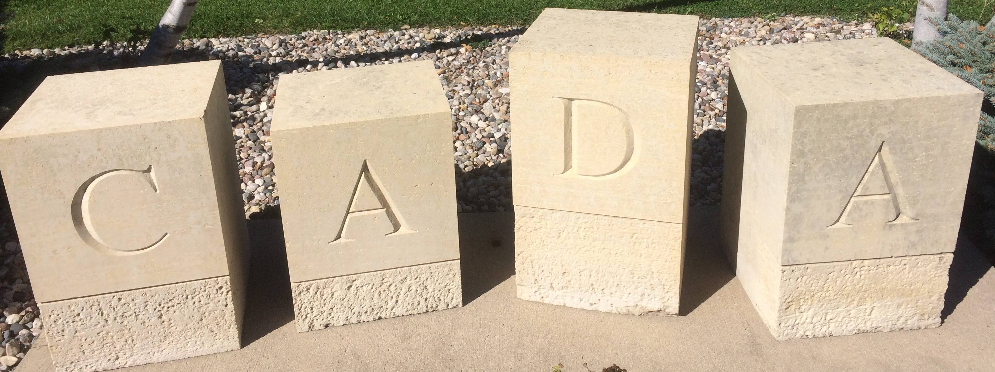 COMMITTEE AGAINST DOMESTIC ABUSE INC cover