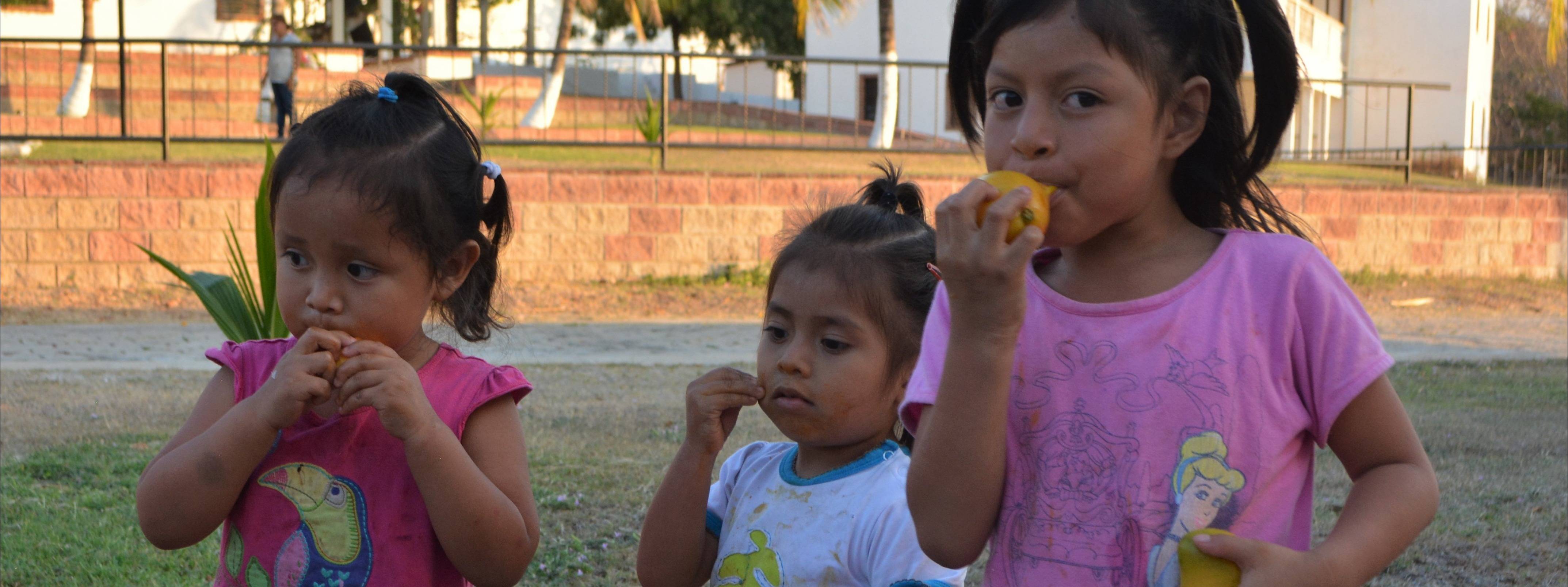 Photo 8 from Saving Susan Ministry