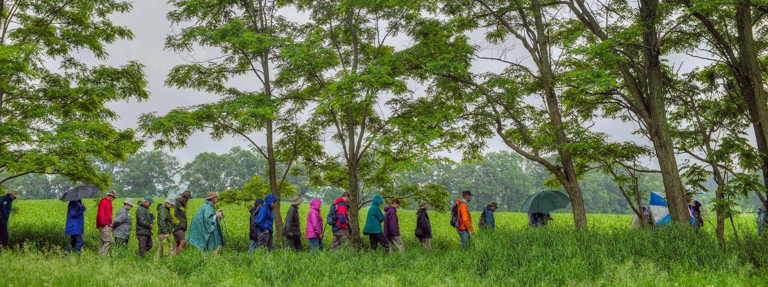 Photo 4 from Groundswell Conservancy