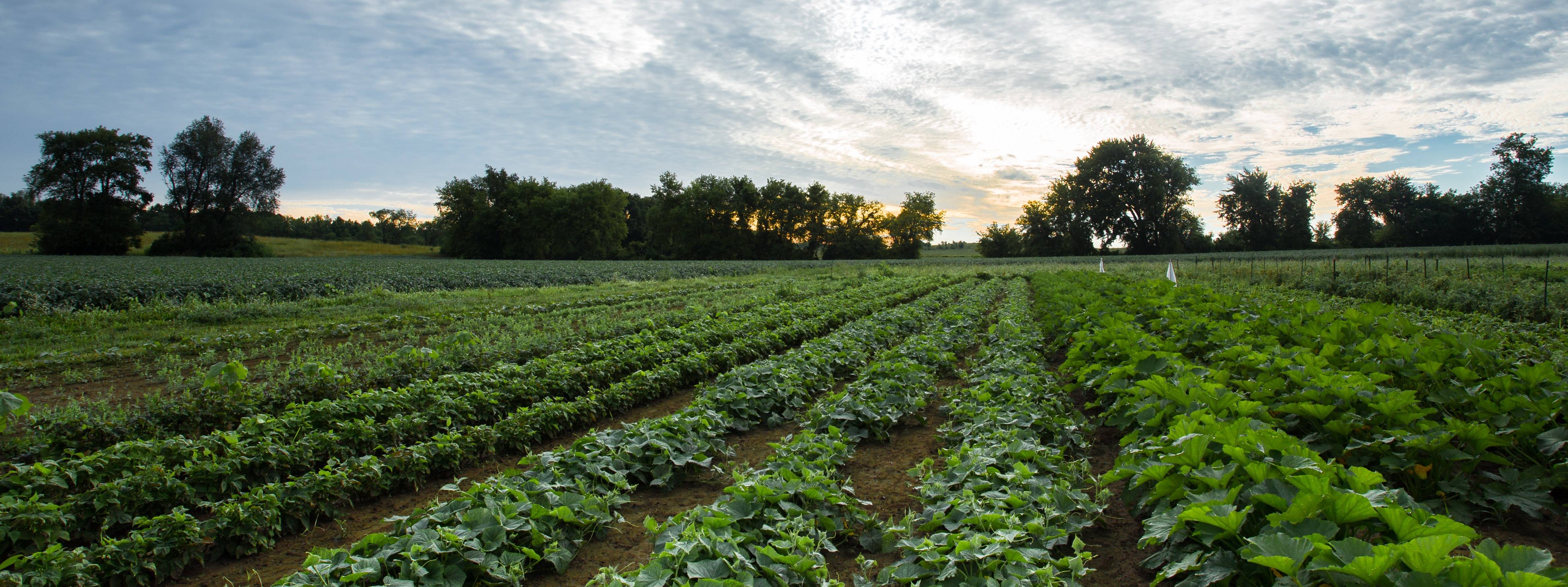 Photo 5 from Groundswell Conservancy