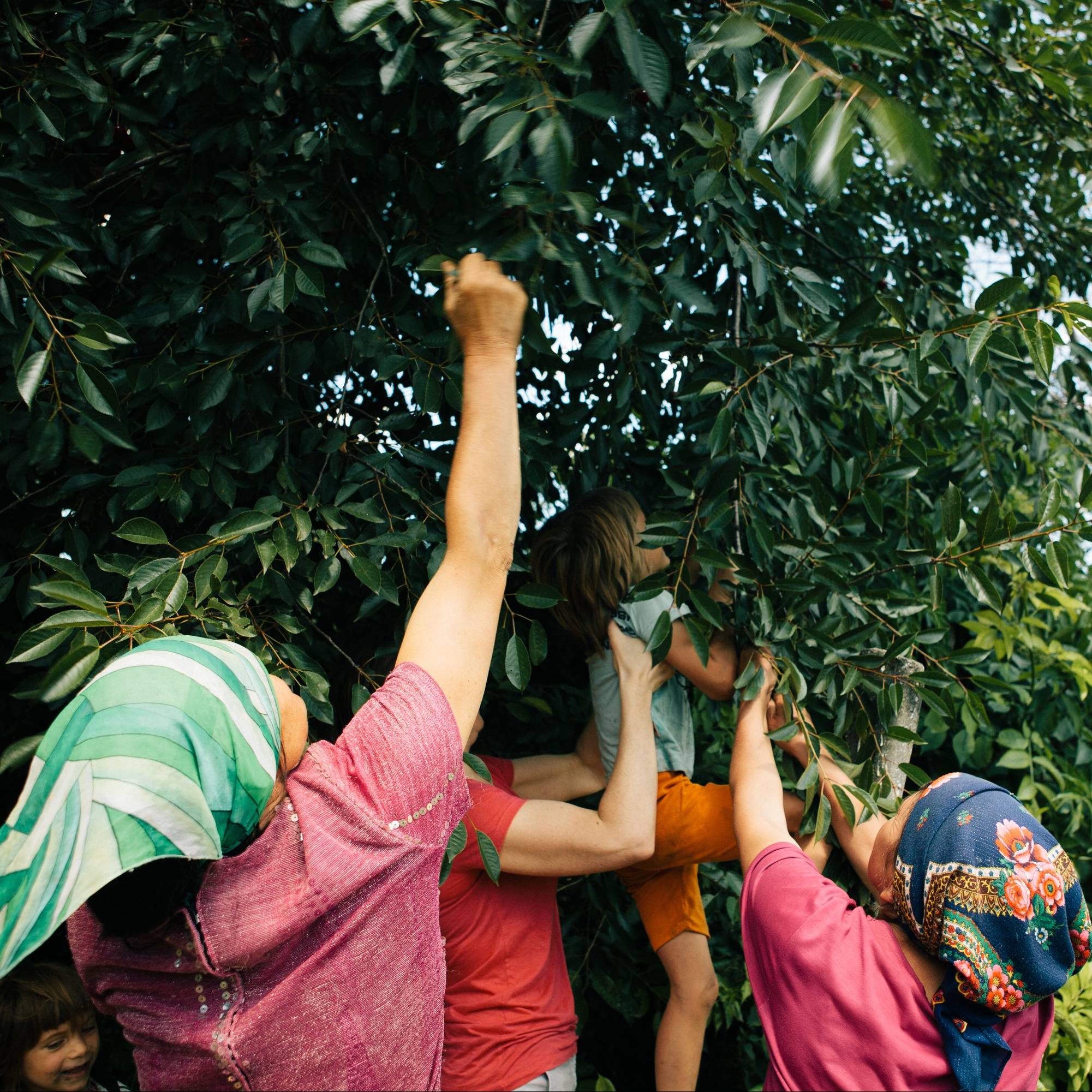 Photo 4 from JUSTICE AND MERCY INTERNATIONAL