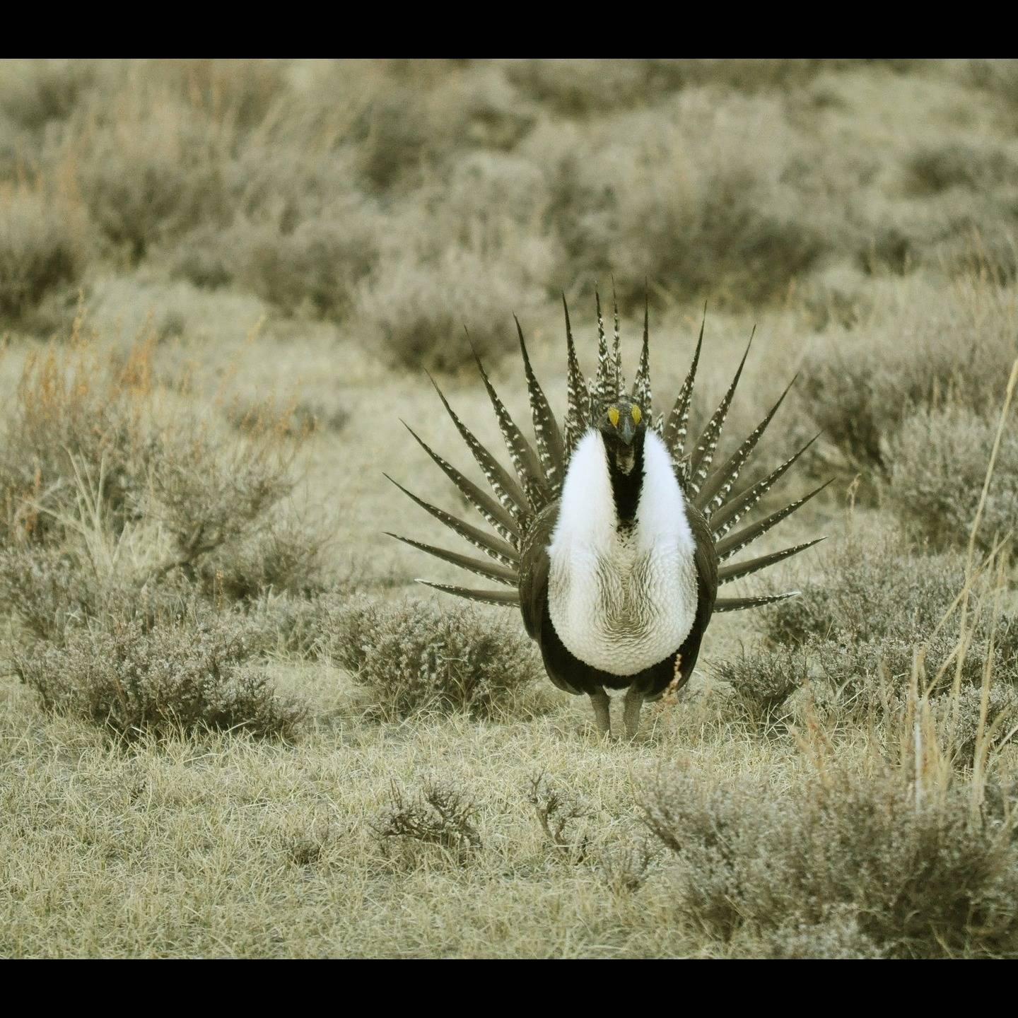 Photo 4 from Rocky Mountain Wild