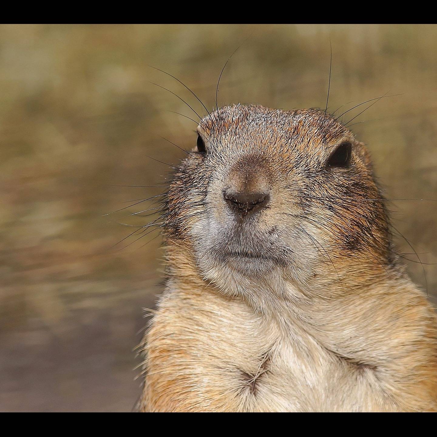 Photo 7 from Rocky Mountain Wild