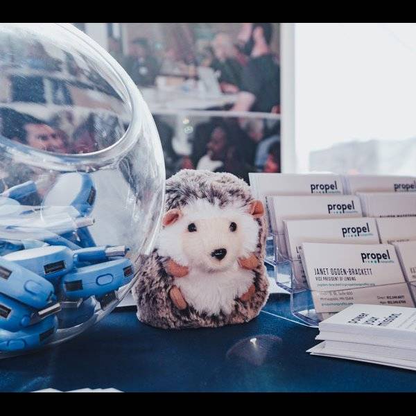 Photo 7 from Propel Nonprofits