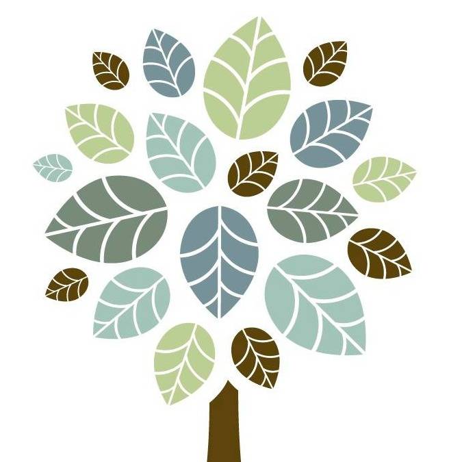 MINNESOTA RECOVERY CONNECTION