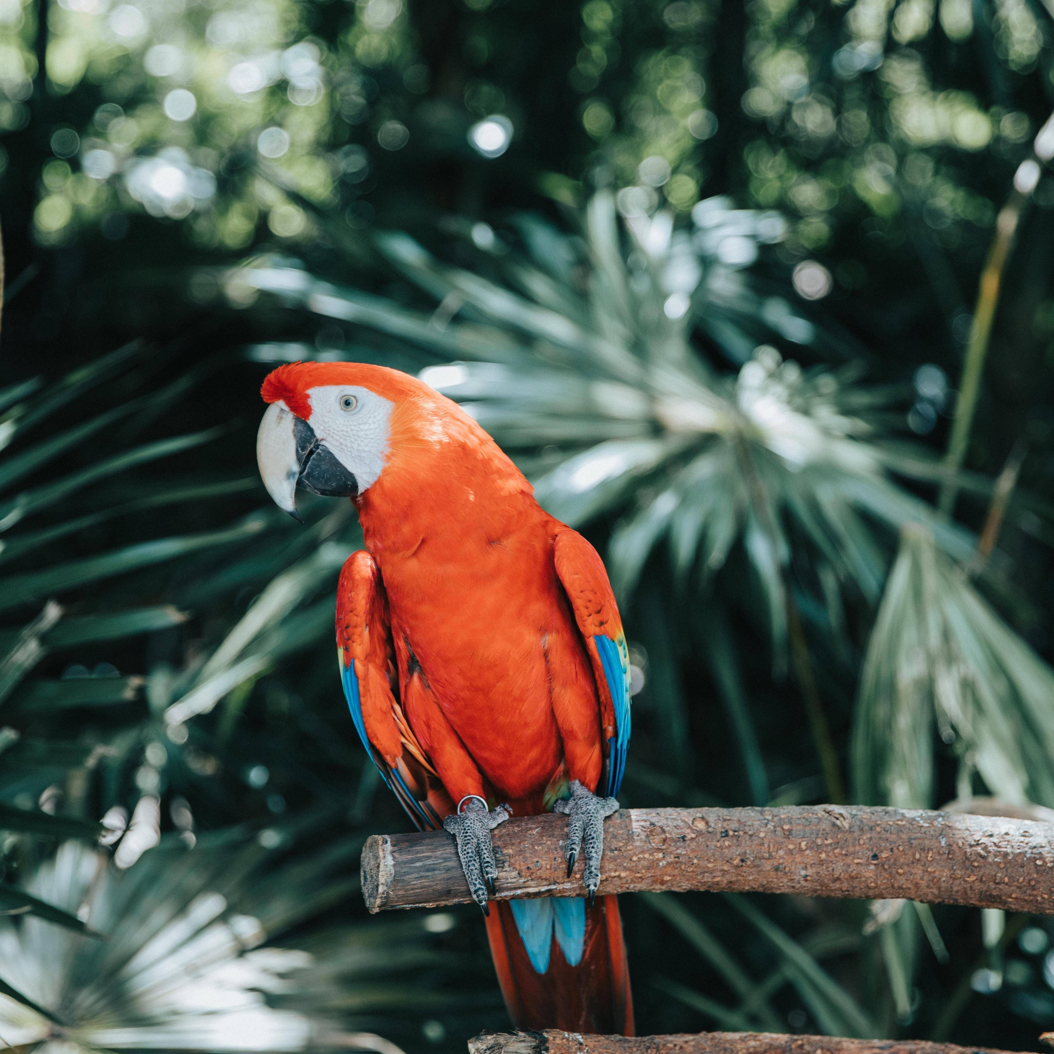 Photo 8 from PWI Foundation