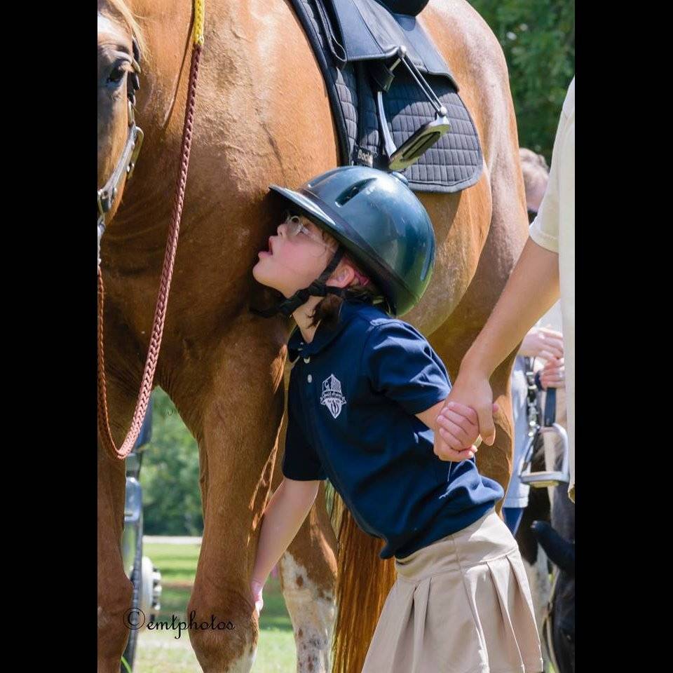 Photo 4 from MONTGOMERY AREA NONTRADITIONAL EQUESTRIANS