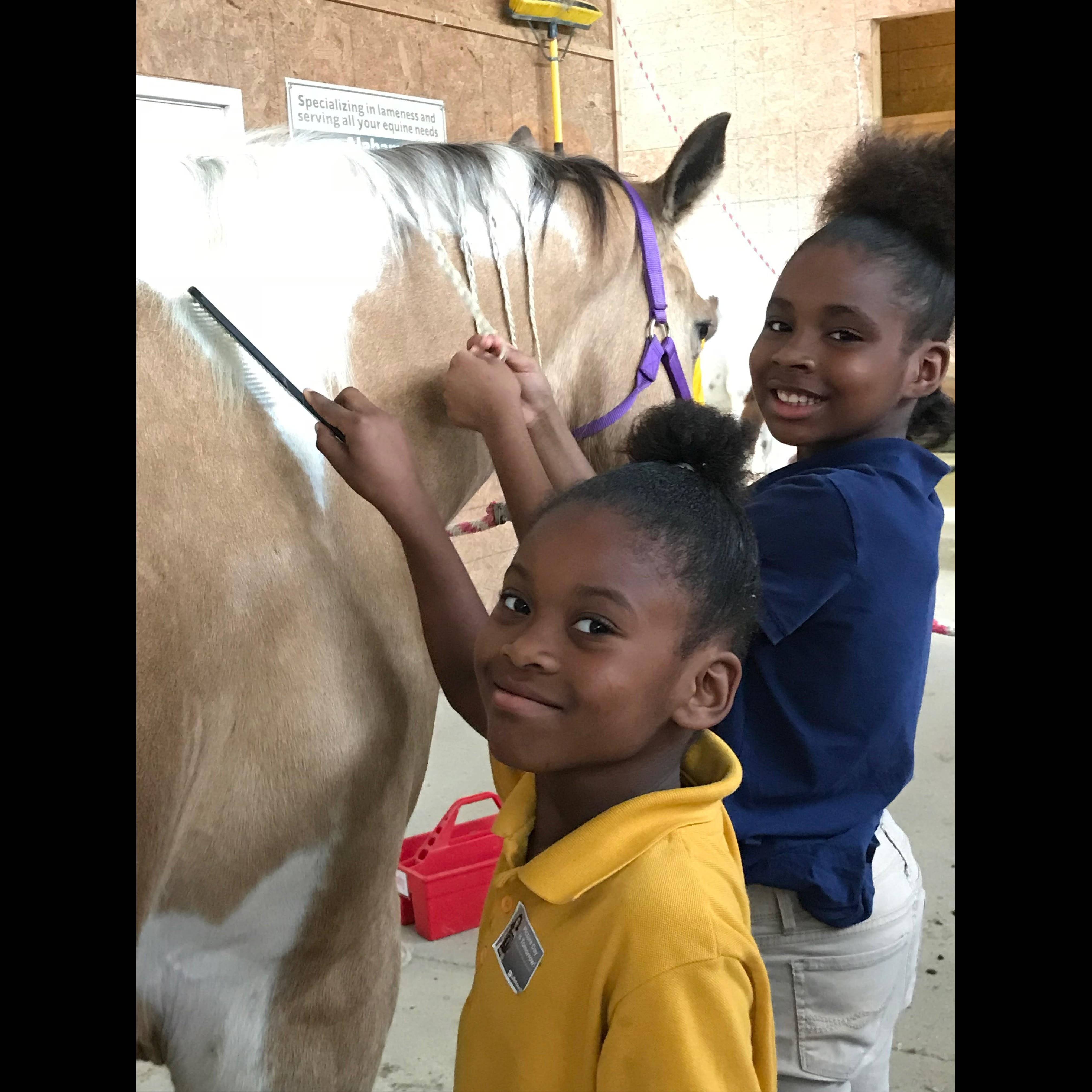 Photo 5 from MONTGOMERY AREA NONTRADITIONAL EQUESTRIANS