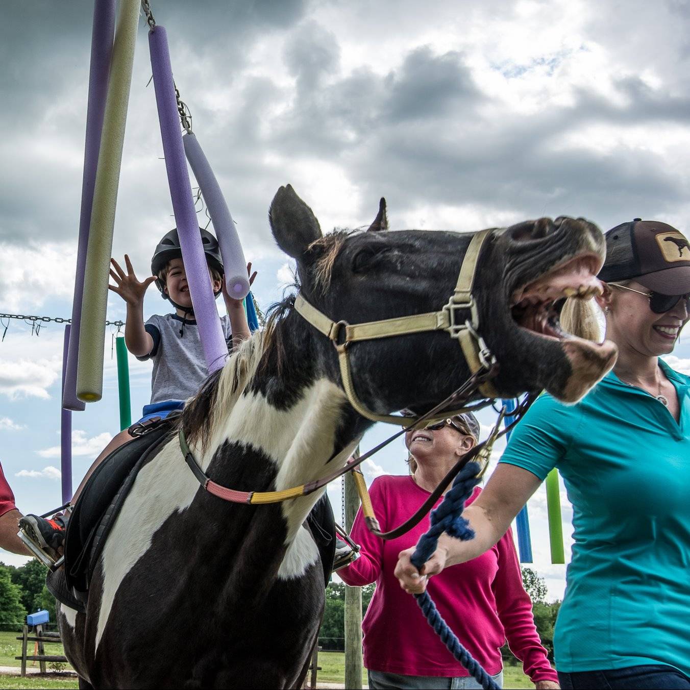 Photo 8 from MONTGOMERY AREA NONTRADITIONAL EQUESTRIANS
