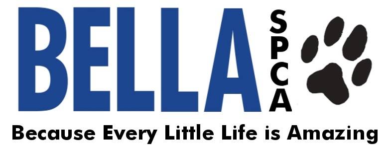 Bella SPCA