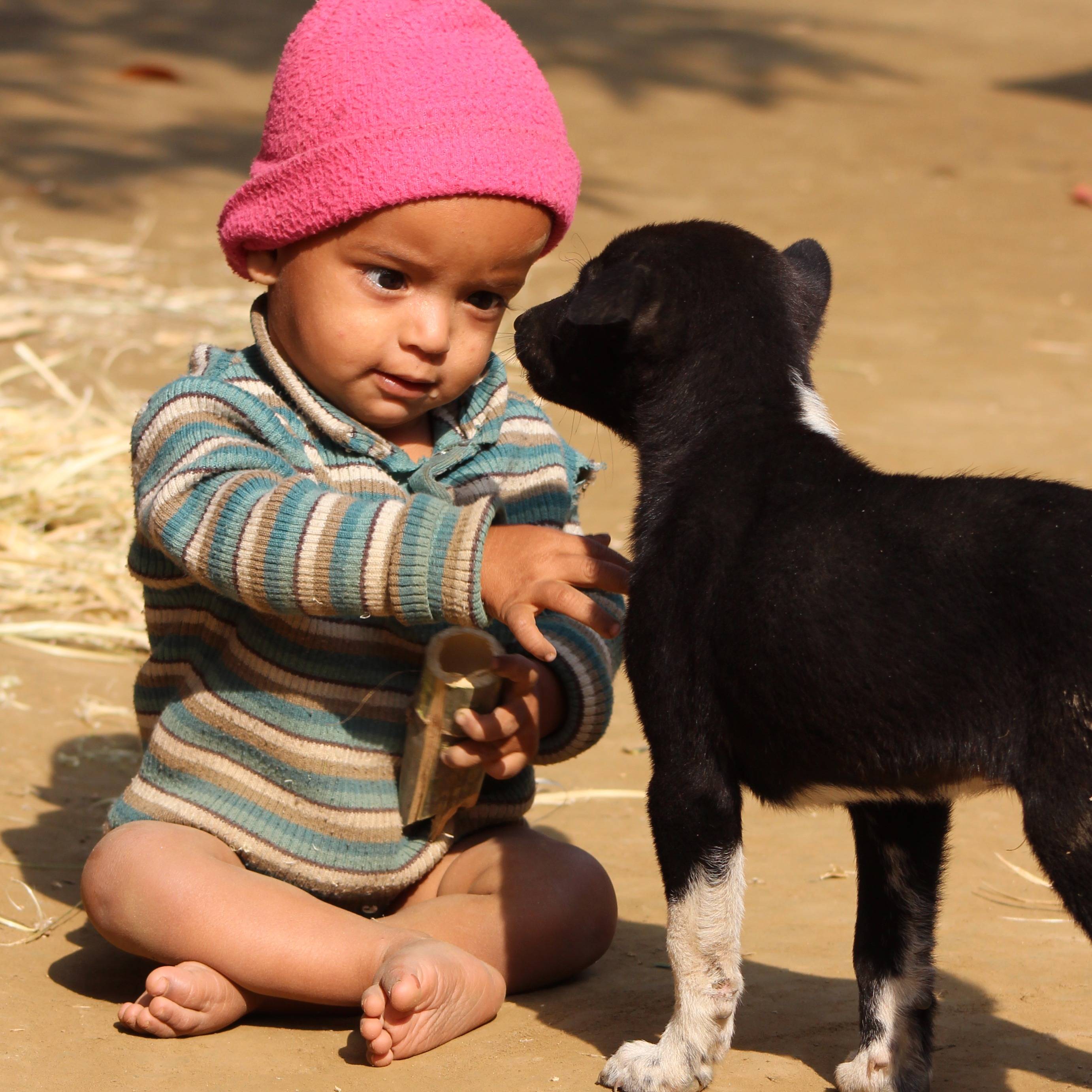 Photo 1 from Partners in Sustainable Development International