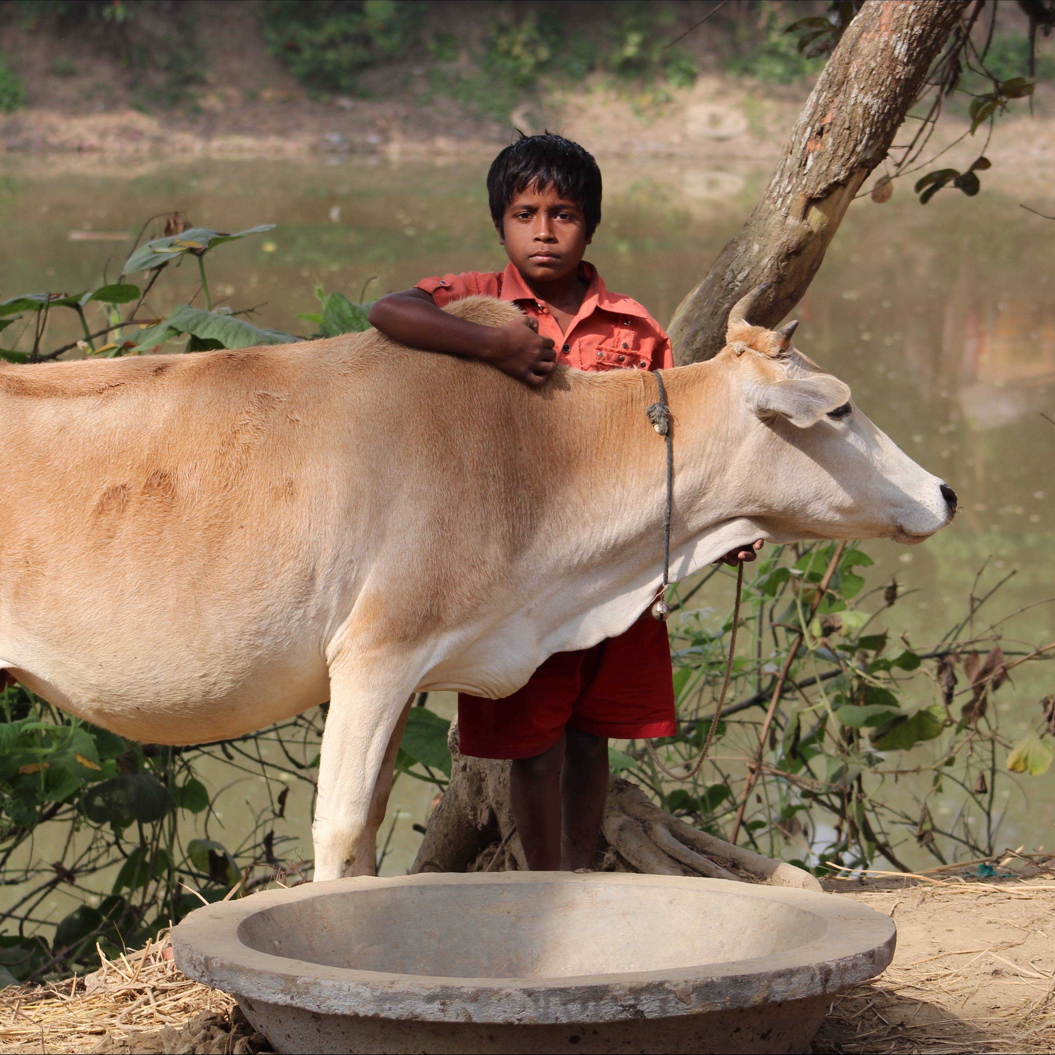 Photo 2 from Partners in Sustainable Development International