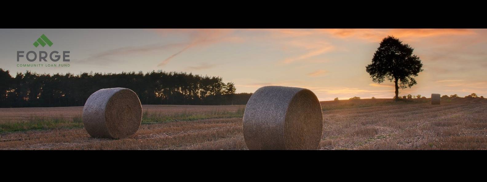 FORGE FINANCING OZARK RURAL GROWTH AND ECONOMY