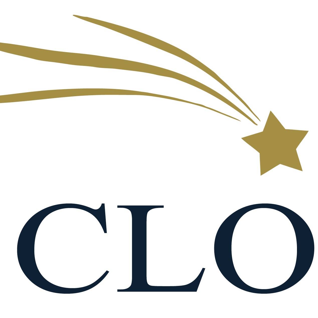Community Living Opportunities, Inc. dba CLO