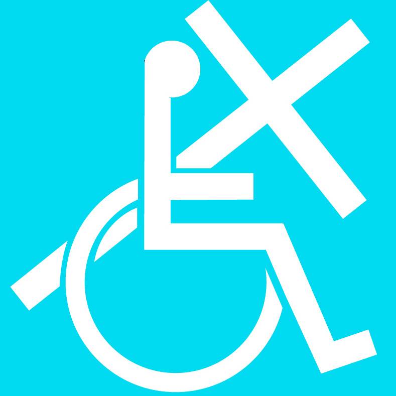MAYS MISSION FOR THE HANDICAPPED INC