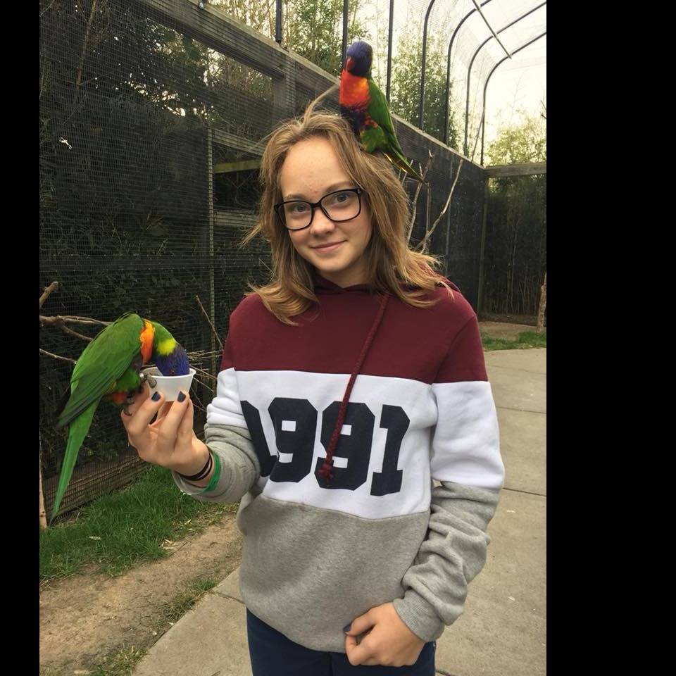 Photo 8 from YOUTH HORIZONS INC