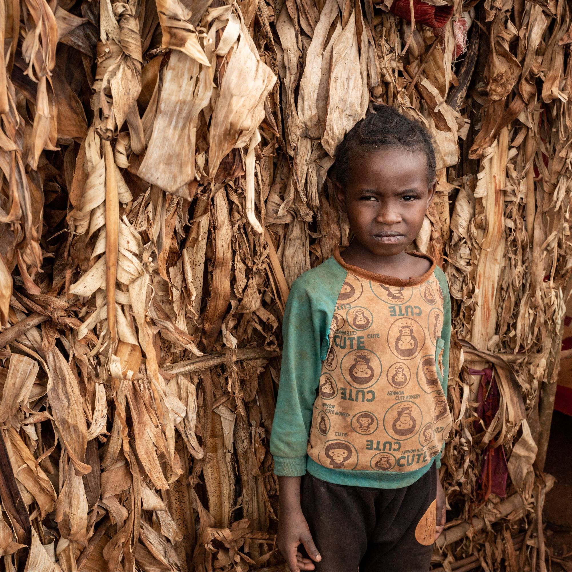 Photo 12 from CRISIS AID INTERNATIONAL