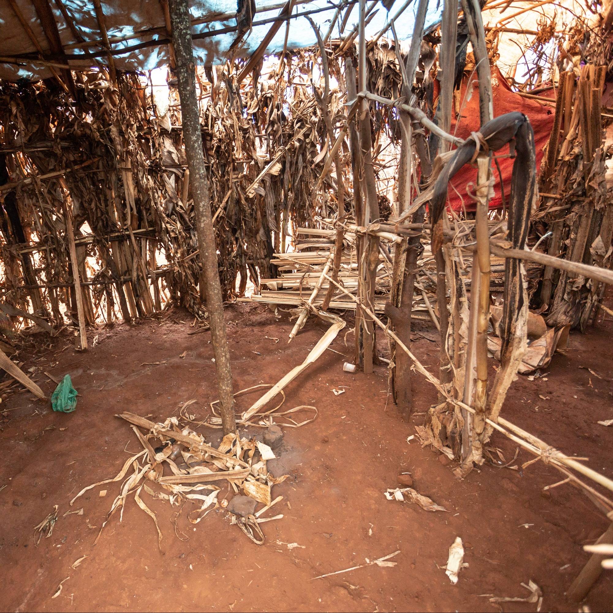 Photo 13 from CRISIS AID INTERNATIONAL