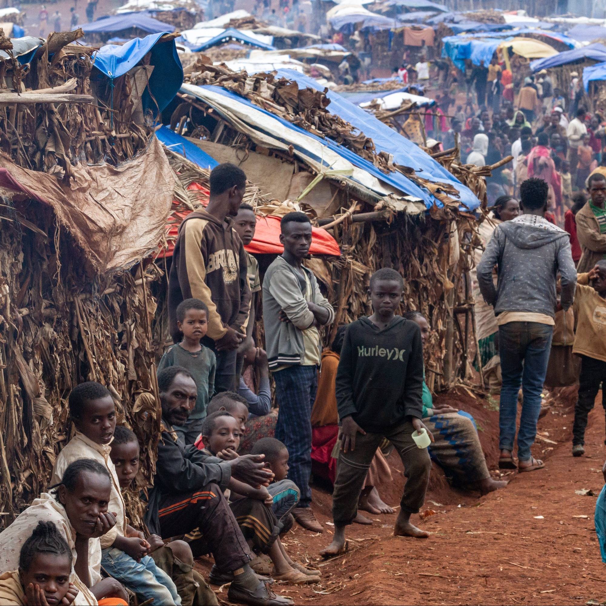 Photo 15 from CRISIS AID INTERNATIONAL