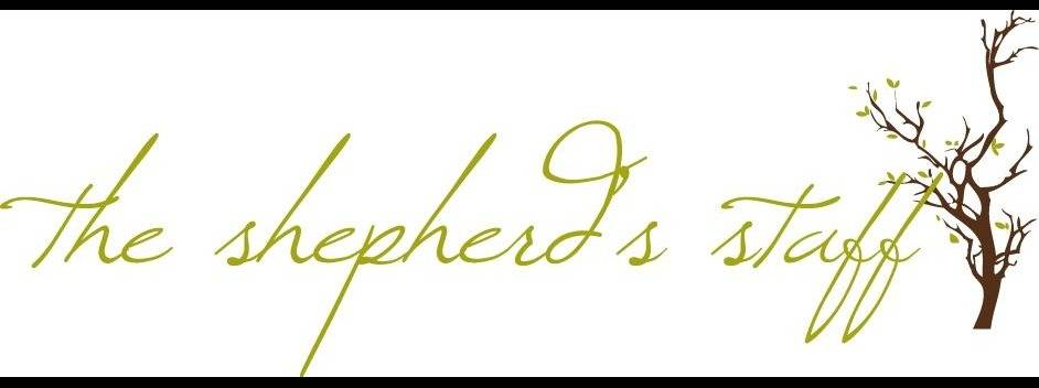 SHEPHERDS STAFF MINISTRIES INC cover