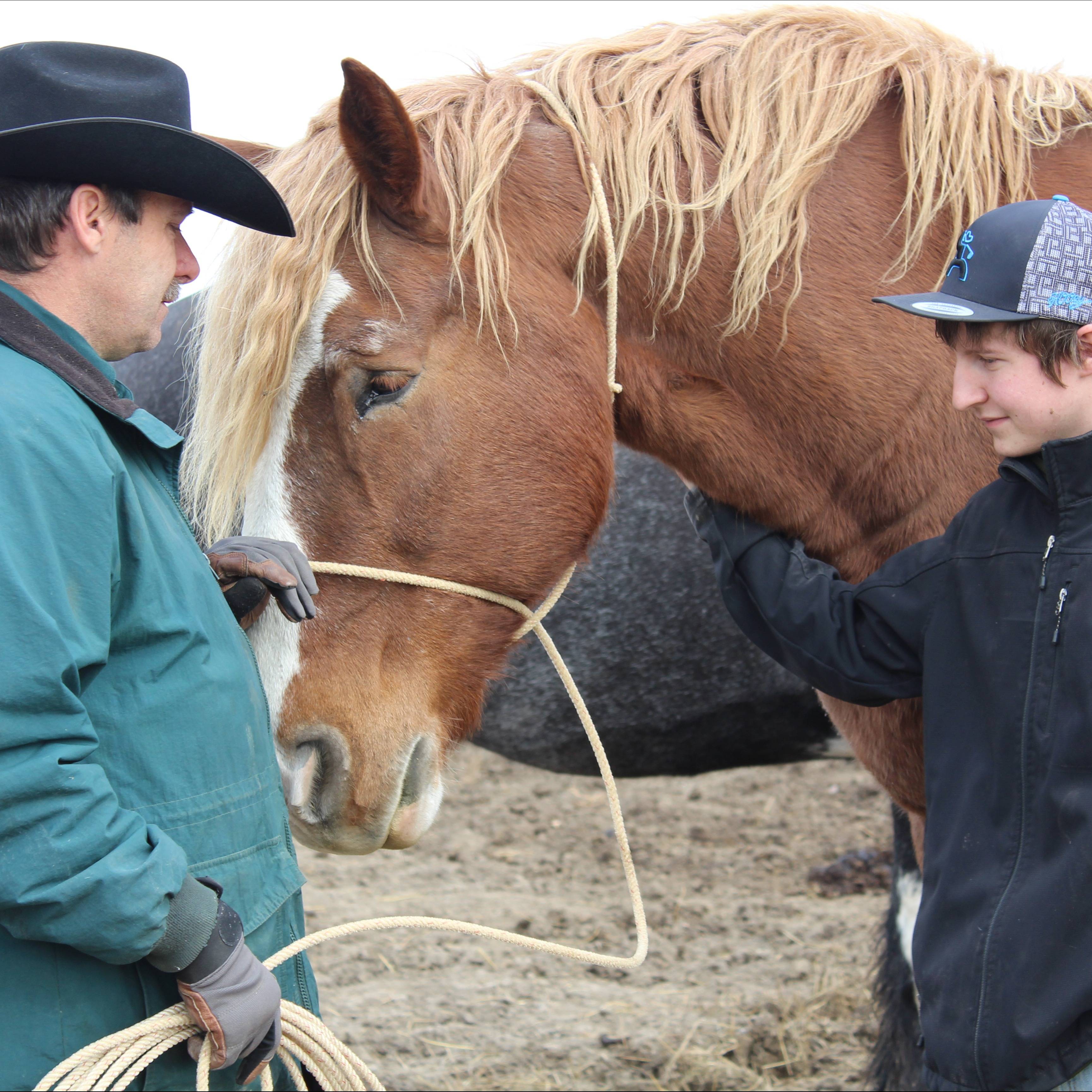 Photo 9 from MCCROSSAN BOYS RANCH