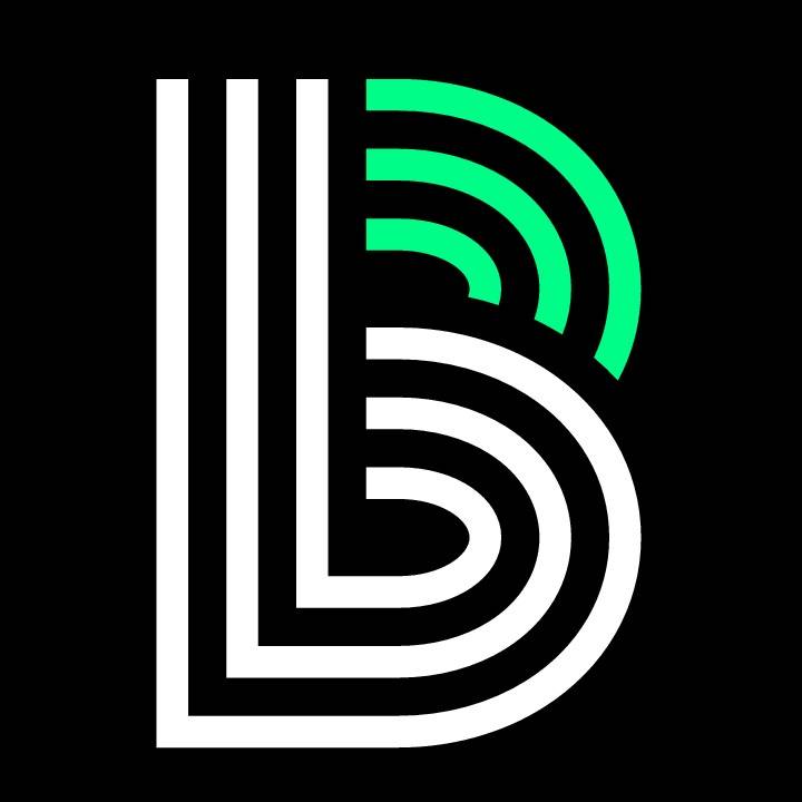 BIG BROTHERS BIG SISTERS GULF COAST