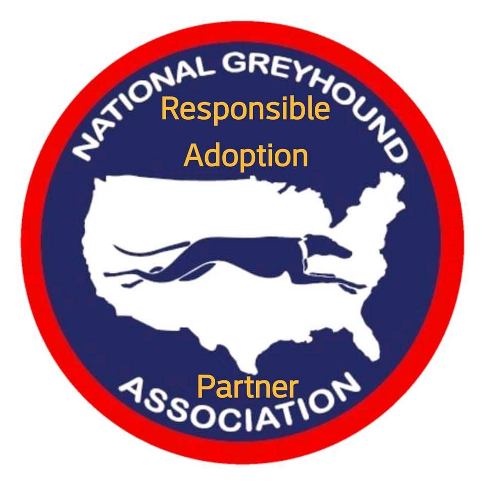 Photo 3 from GREYHOUND ADOPTION LEAGUE OF TEXAS INC
