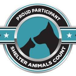 Photo 5 from GREYHOUND ADOPTION LEAGUE OF TEXAS INC