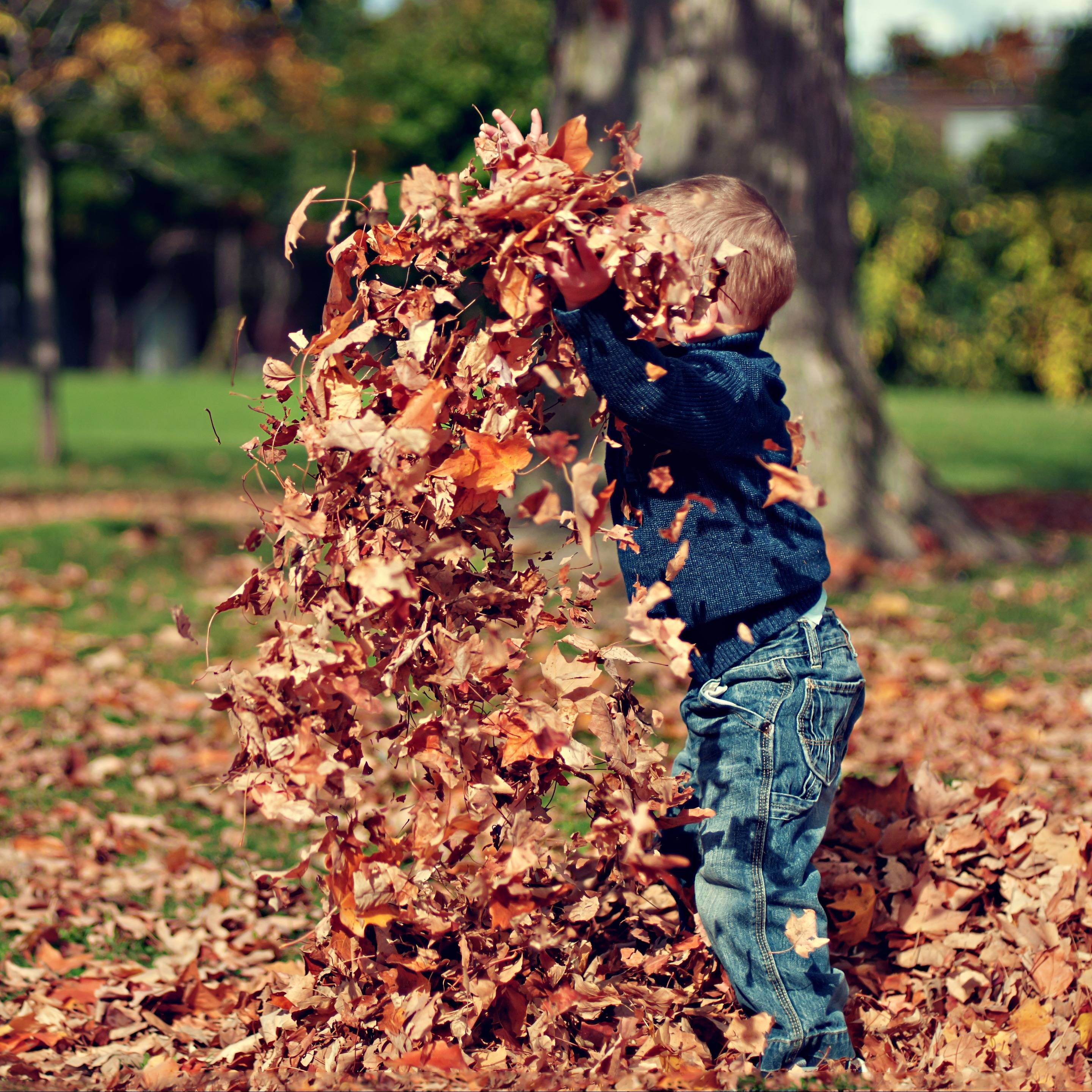 Photo 6 from ARBOR YOUTH SERVICES