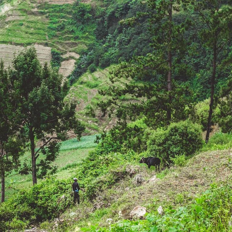 Photo 6 from Mission of Hope