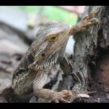 Photo 1 from River Legacy Foundation