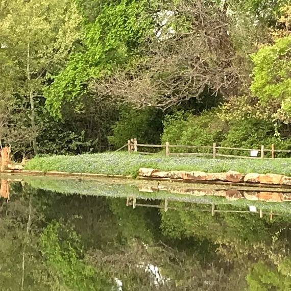 Photo 2 from River Legacy Foundation