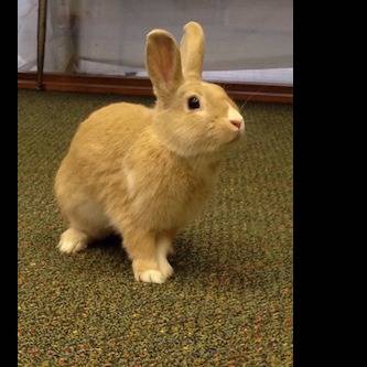 Photo 6 from River Legacy Foundation