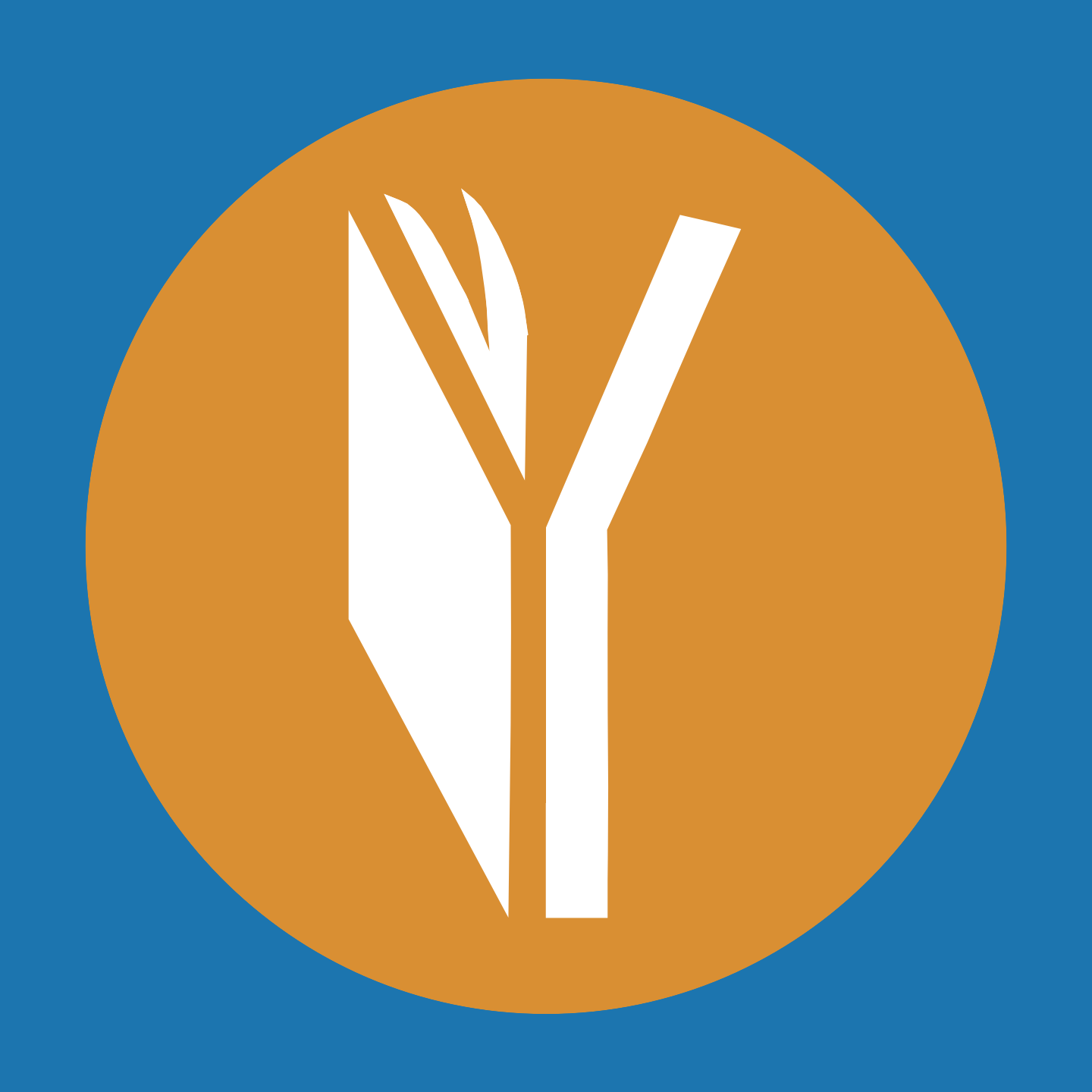 San Antonio Youth Literacy